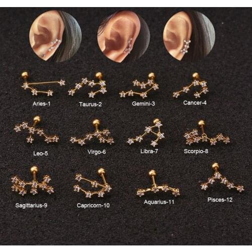 Chissen 1Pc Stainless Steel Twelve Constellation Ear Piercing Jewelry Cz Cartilage Helix Lobe Screw Back Stud Earring