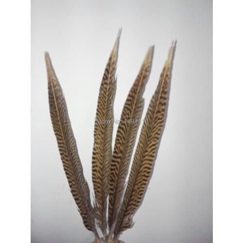 Wholesale 50 pcs / lot 12-14inches / 30-35cm high quality natural pheasant feather / DIY jewelry decoration