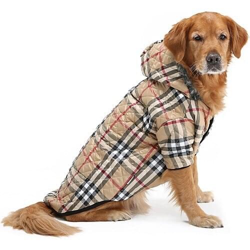Dogi & Dog Raincoats For Dogs