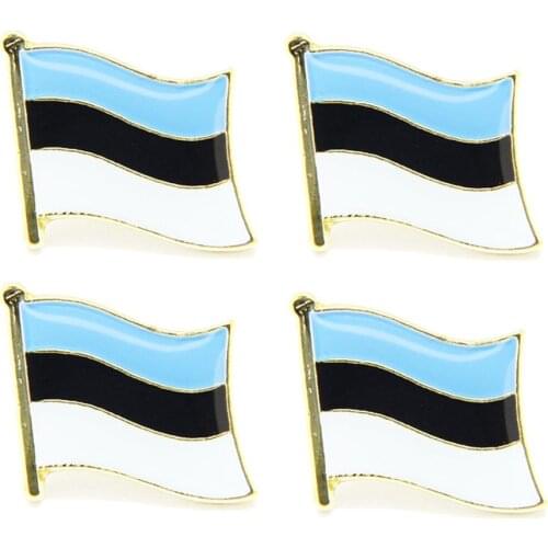 Lots 5pcs Estonia national flag Pin Badge country Lapei Pin
