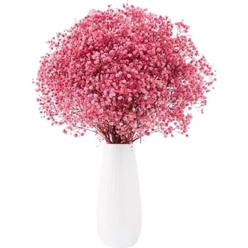 70cm Natural Gypsophila Dried Flowers Baby Breath Flowers Plants Bouquets for Home Decoration Photo Props Wedding Decor