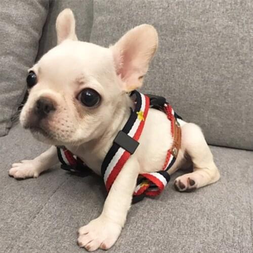 Dog harness Personalized chihuahua Pitbull buldog puppy collar luxury dog collar small dog harness for small dog pet products