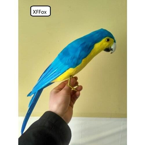 New real life blue&yellow parrot model foam&feather simulation parrot bird gift about 40cm xf0205