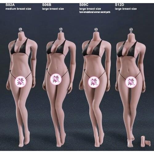 S09C /S12D/S06B/S02A 1/6 Female Suntan Color Body Figure Super-Flexible Seamless Figure body with Stainless Steel for Woman Head