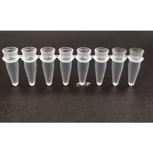 0.2ml PCR8 row tube transparent