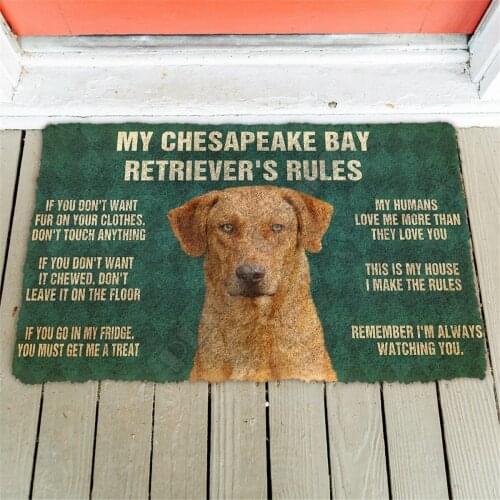 3D Please Remember Chesapeake Bay Retrievers Rules Doormat Non Slip Door Floor Mats Decor Porch Doormat
