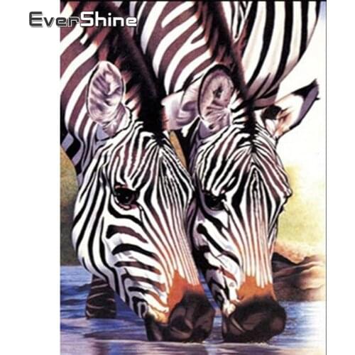 EverShine 5D DIY Diamond Embroidery Animals Diamond Painting Full Drill Square Zebra Diamond Mosaic Full Set Bead Picture Kits
