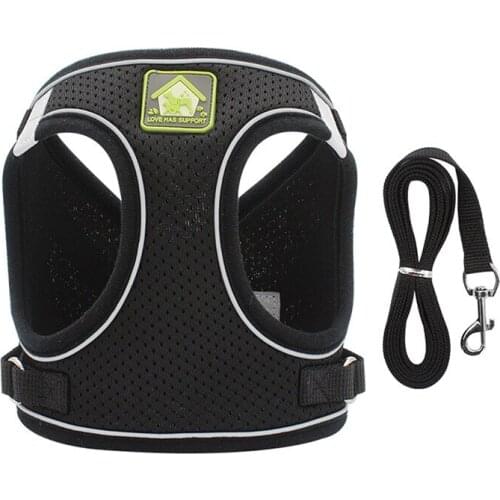 Pet Dog Harness Small Dog Chain Teddy Vest Puppies Chest Strap Adjustable Soft Breathable Mesh Harness Leash Pet Set Outdoor