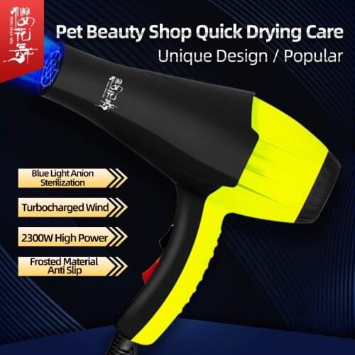 Pet hair dryer high power Teddy water blower silent dryer Cat Dog Bath quick drying hair dryer for dogs and cats