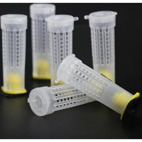 Complete Bee Queen Rearing Cup Kit System Beekeeping Tools Set Productive Cells Apiculture Bees Catcher Box Catcher Box Cag P3D1