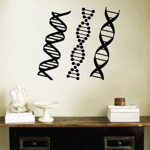 DNA Genealogy Wall Sticker Biology Chemistry Decal School Science Class Decoration Home Decor Bedroom Mural Poster
