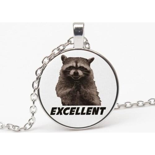 New Fashion Raccoon Crystal Pendant Necklace Jewelry Animal Glass Photo Cabochon Necklace Gift Men Women Decorative Souvenir