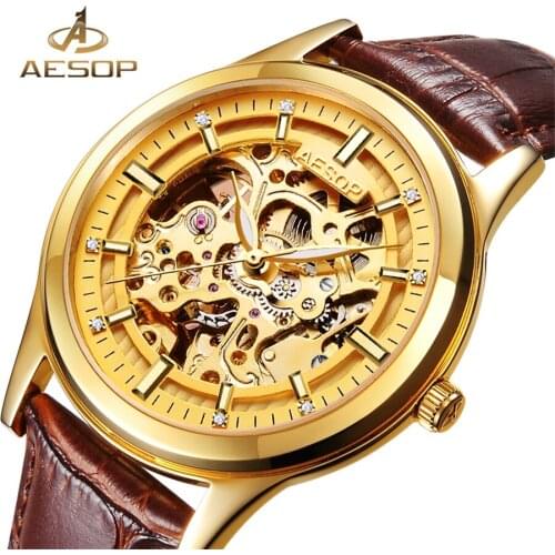 AESOP Luxury Men Classic Automatic Mechanical Watch Gold Skeleton Brown Leatherl Strap Mens Watches Top Brand Luxury Wristwatch