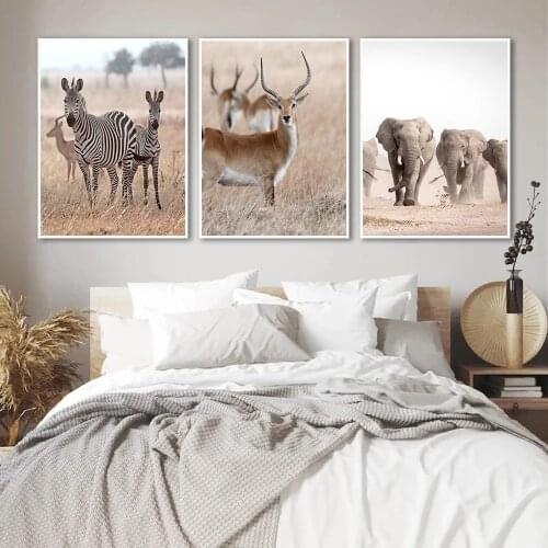 Wildlife Zebra Elephant Leopard Lion Giraffe Wall Art Canvas Painting Posters and Prints Pictures Home Room Decor (No Frame)