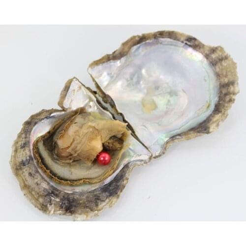 6-7MM Red Color Pearl Oysters Natural Akoya Oyster Skittle Pearls Colorful Round Beads For Jewelry Making 20pcs/lot FP246