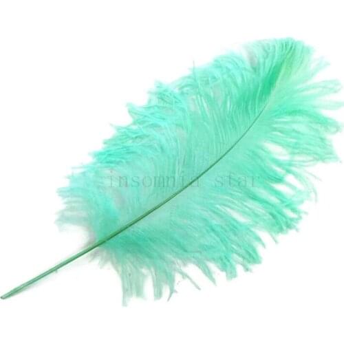 100pcs tail pole 100% natural Ostrich Feather 10-45CM/4-18Inch dyed mint for party mask headdress clothing accessories