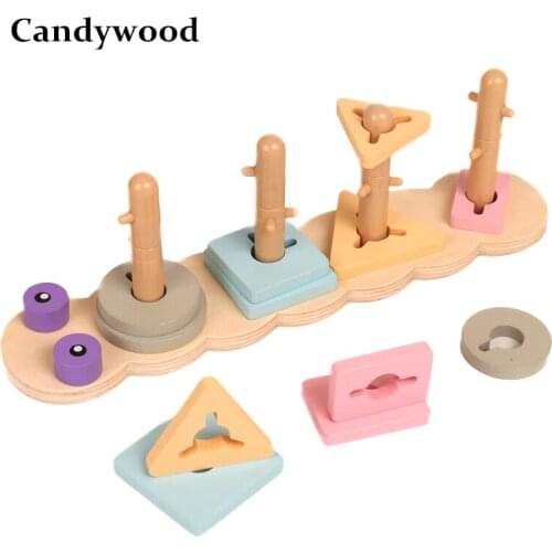 Montessori Toys Wood Shape Matching Set of Columns Montessori Educational Wooden Toys Kids Educational Toys for Children
