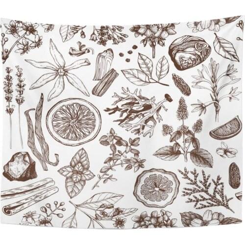 Perfumery and Cosmetics Ingredient Sketch Vintage with Aromatic Plants for Scented Industry Herbs Tapestry Home Decor