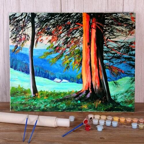 Landscape Morning DIY Painting By Numbers Set Acrylic Paints 40*50 Paiting By Numbers Loft Wall Picture For Kids Handiwork