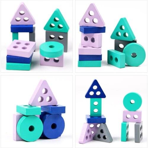 Wooden Montessori Toy Building Blocks Early Learning Educational Toys Color Shape Match Cognition Kids Toy for Girls Boys