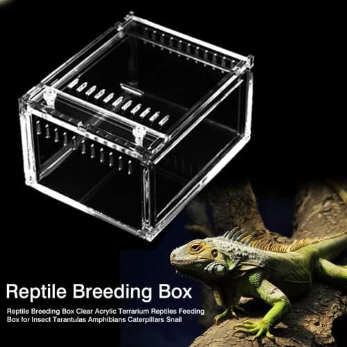 Reptile Breeding Box Clear Acrylic Terrarium Reptiles Feeding Box For Insect Tarantulas Amphibians Caterpillars Snail