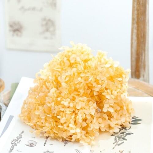 Dried flower Orange 20G DIY material Grade A Anna Folium Hydrangea polychrome wedding decoration table
