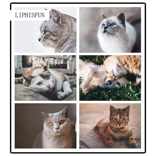 Cat 5D Diamond Embroidery Painting Cross Stitch Diy Craft Square Resin Diamonds Pasted Unfinished Home Wall Decoration