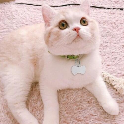 Bowknot/Star/Badge Shape Engraved Pet ID Name for Cat Puppy Personalized Collar Pet ID Tag Pendant Keyring Bow Pet Accessories