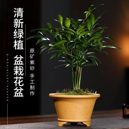 Yixing High-Grade Purple Sand Flowerpot Thick Ceramic Round Mouth Pot Retro Simple Indoor Succulent Banyan Green Sill Potted Pla