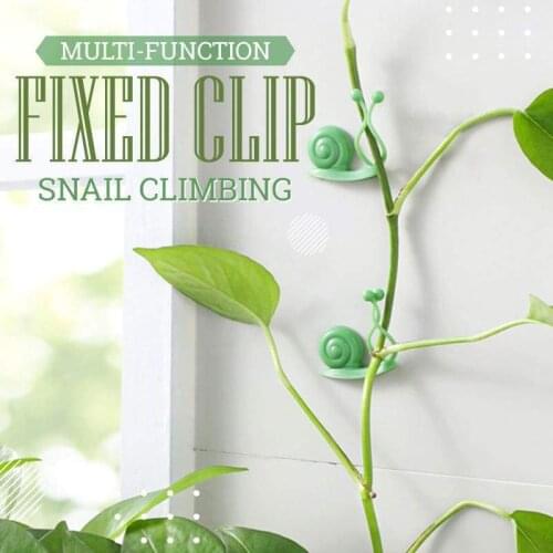 10pcs Invisible Wall Rattan Clamp Clip Plant Climbing Snail shape Wall Vines Fixture Wall Sticky Hook Holder Buckle Hook Garden