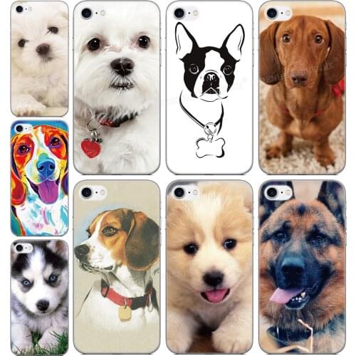 Custom Photo Dog Tiger Dragon Cover For Kyocera Digno BX Android One S4 S6 X3 Basio 4 Urbano V04 Kantan Sumaho 705KC Phone Case