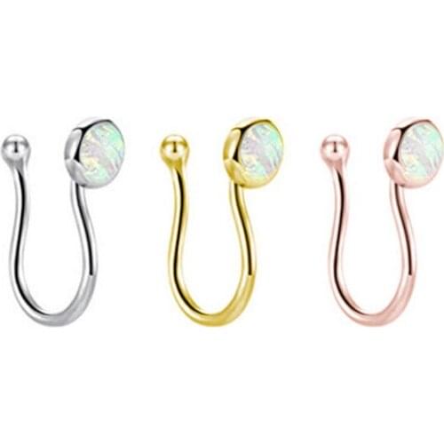 2021 New Fashion Simple Love Nose Stud False Nose Ring Inset Perforated Jewelry Star Nose Ring Personality Perforated Wholesale