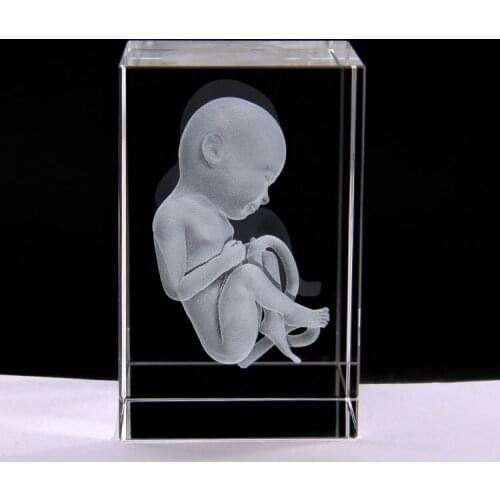 3D stereo crystal baby anatomy model doctors student medical gift model