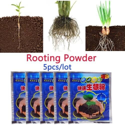 5Bags Rooting Powder Root Seedling Germination Aid Flower Anther Fertilizer