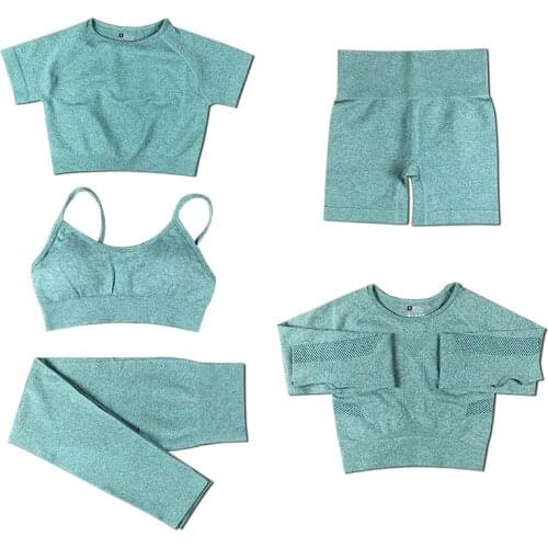 New 5 PCS Women Seamless yoga set Fitness Sports Suits GYM Clothing Yoga T-Shirts+High Waist leggings+Bra+shorts Workout Pants