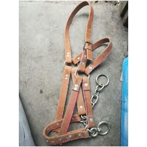 Comics and Bovine Reins Bridle Chewing Full Horse Reins Chewing Son Full Horses Chewing Sub-Harness horse lead rope,horse rein