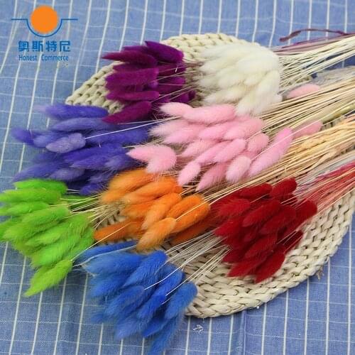 50pcs dried natural flower bouquets colorful Lagurus ovatus bouquets&Uraria picta&rabbit tail grass bouquets bunches