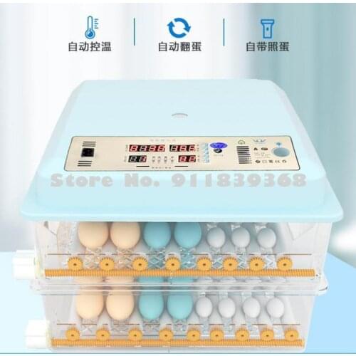 A Machine For Hatching Chickens A Home Incubator, An Electric Incubator, An Automatic Incubator, An Egg Incubator, A Chicken See