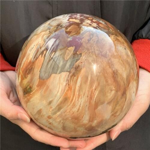 Natural Petrified Wood Sphere Fossil Agate Quartz Crystal Ball Madagascar