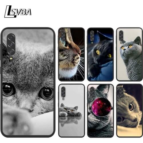 British Shorthair cat For Samsung Galaxy A90 A80 A70 S A60 A50S A30 S A40 S A2 A20E A20 S A10S A10 E Black Soft Phone Case