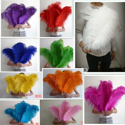 Sale 10 pc quality ostrich feathers,22-24" /55-60cm, DIY wedding decorations Wedding, stage performances, decoration, festive