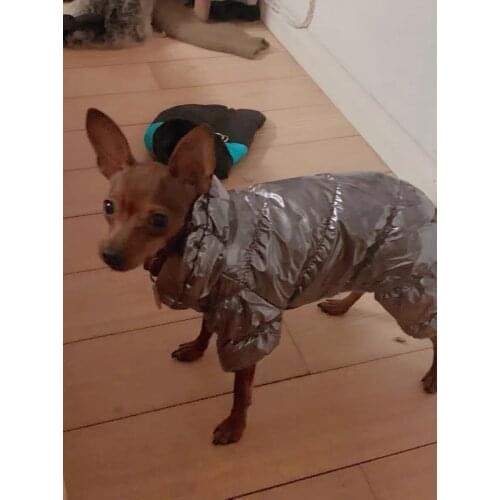 Pet Clothes Padded Pet Dog Clothing Autumn and Winter Thick Four-Legged Dog Jumpsuit Puppy luxury dog clothes