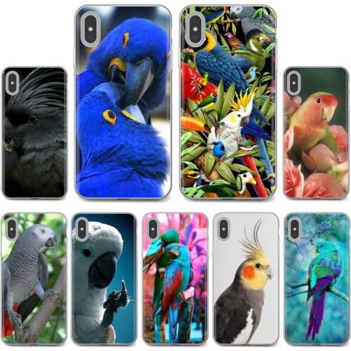 For iPhone iPod Touch 11 12 Pro 4 4S 5 5S SE 5C 6 6S 7 8 X XR XS Plus Max 2020 Soft TPU Case Garden flower Bird Ringneck Parrot