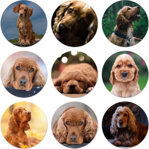 58mm Cocker Spaniels dog puppies Badge Brooch Pin Accessories For Clothes Backpack Decoration gift