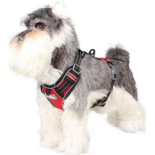 2020 New Traction Rope Dog Breast Straps Small and Medium-sized Dog Accessories Camouflage Sports Nylon Dog Collar