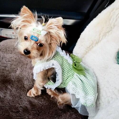 Summer Pet Clothes Cat Dog Dress Wedding Costumes Princess Skirt Puppy Apparel Chihuahua Yorkshire Pomeranian Poodle Clothing XS