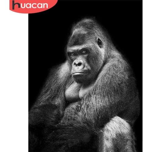 HUACAN 5d Diamond Painting Black And White Monkey DIY Diamond Embroidery Cross Stitch Animal Mosaic Orangutan Wall Art Decor