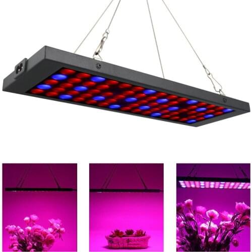 600W Full Spectrum Plant Lighting Grow Tent Plants Flowers Seedling Cultivation Growing Lamps LED Grow Light Cocina Garden Home