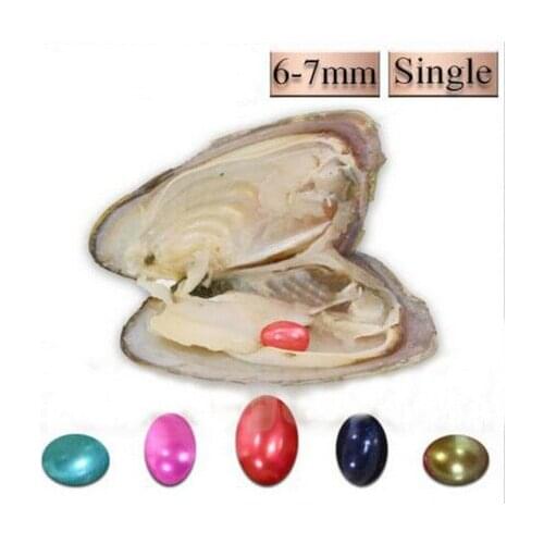 Wholesale 6-7mm Rice Oval Freshwater Pearl Oyster 20 Colors Rice Pearls in Freshwater Oysters Shell Vacuum Package 20pcs ABH768