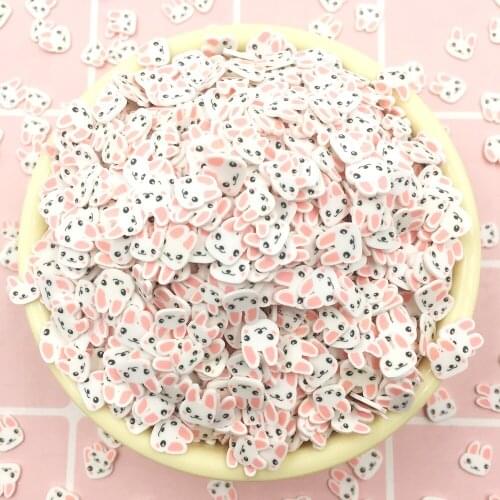 100g Cartoon Rabbit Polymer Hot Soft Clay Sprinkles for Crafts Slime Accessories DIY Making Klei Cute Mud Particles:6mm